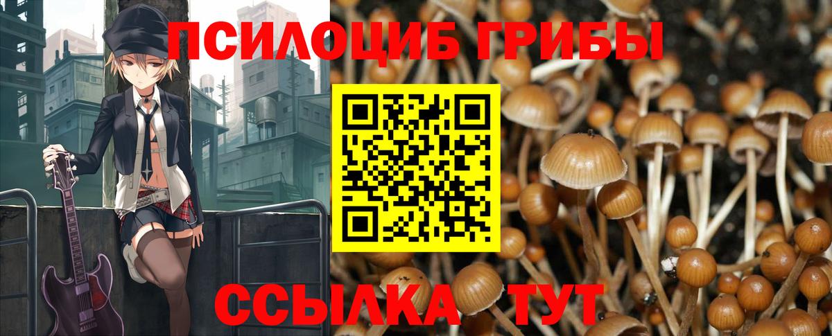 Псилоцибиновые грибы Psilocybine cubensis Смоленск