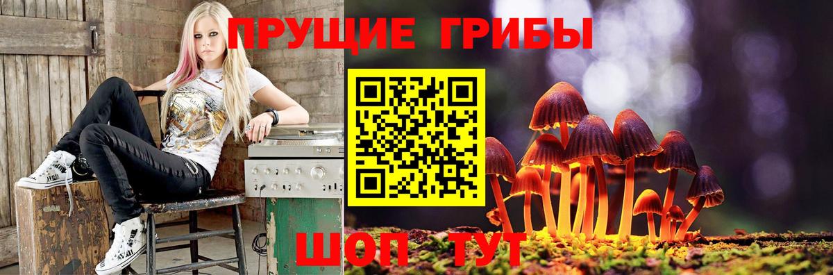 Смоленск  Псилоцибиновые грибы Cubensis  Вход с VPN 